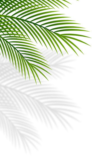 obj-coconut-left