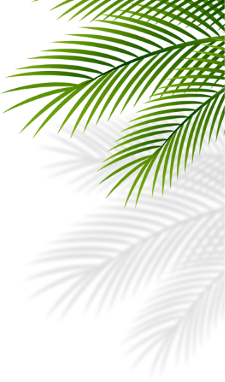 obj-coconut-right