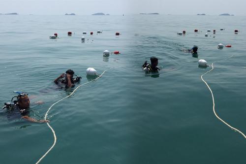 ชุดปฏิบัติงานเรือฯ ระยอง ดำน้ำสำรวจและจัดเรียงร้อยเชือกบ้านปลา