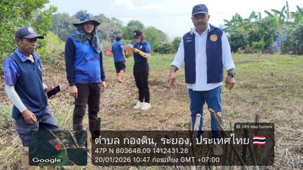 ศบปล.ระยอง ลงพื้นที่สำรวจตามโครงการตรวจสอบแปลงที่ดินเพื่อดำเนินการจัดที่ดินให้ชุมชนและการบริการด้านการอนุญาตในพื้นที่ป่าชายเลน