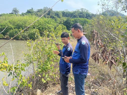 ศบปล.ตราด ลาดตระเวนป้องกันเฝ้าระวังรักษาพื้นที่ป่าชายเลน ผ่านระบบ SMART Mangrove Patrol