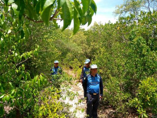 ศอปล.๕ ปฏิบัติงานลาดตระเวนเพื่อป้องกันรักษาป่าชายเลน (SMART Mangrove Patrol) ท้องที่ ต.แหลมตะลุมพุก อ.ปากพนัง จ.นครศรีธรรมราช