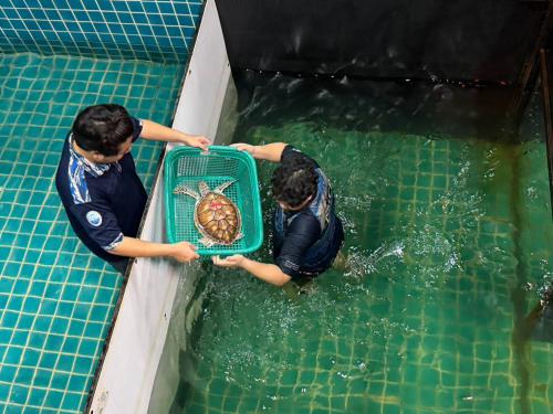 ลงพื้นที่ทดลองโครงการการพัฒนาเครื่องมือประมงเพื่อลดการสูญเสียสัตว์ทะเลหายาก (เต่าตนุ)